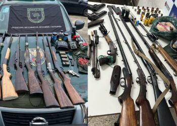 BPMA apreende armas, munições e equipamentos de caça ilegal em Fundão, Itaguaçu e Cariacica - Foto: BPMA
