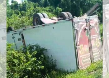 Caminhão-baú tomba na ES-248 entre Colatina e Linhares - Foto: Rede Social