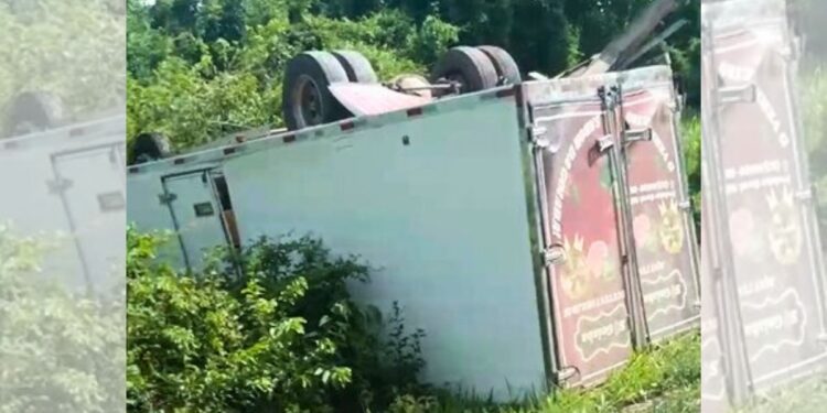 Caminhão-baú tomba na ES-248 entre Colatina e Linhares - Foto: Rede Social