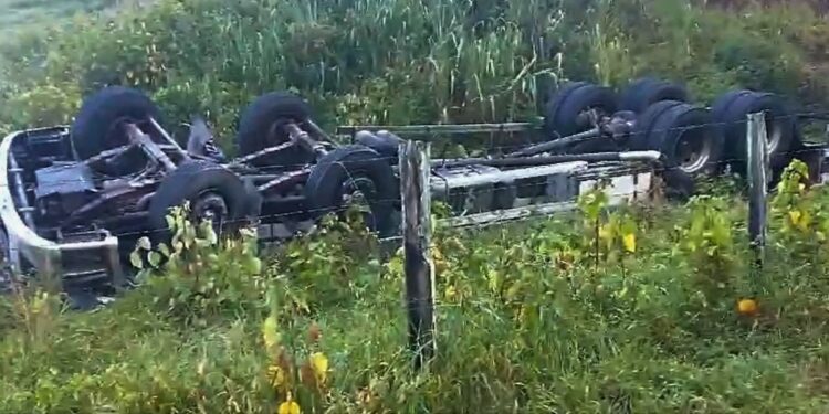Caminhão tomba na Serra da Sapucaia, ES-164, em Pancas - Foto: Rede Social