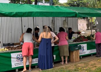 Direto do produtor para a sua mesa: a Feira Orgânica de Colatina - Foto: Secom/PMC
