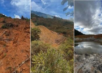 Vídeo | Multa de R$ 2 milhões por crime ambiental em Fundão: BPMA e IEMA embargam área de preservação permanente