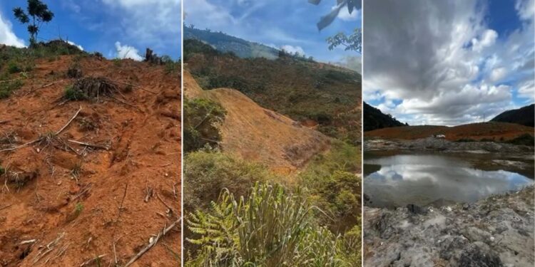 Vídeo | Multa de R$ 2 milhões por crime ambiental em Fundão: BPMA e IEMA embargam área de preservação permanente