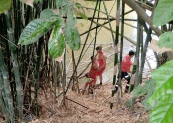 Homem é encontrado morto em rio de Itarana - Foto: Rede Social