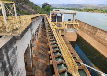 Aliança Energia celebra uma década de inovação e crescimento sustentável - Foto: Divulgação