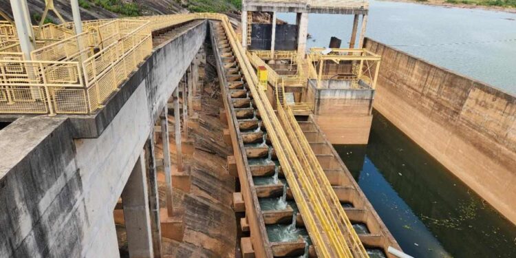 Aliança Energia celebra uma década de inovação e crescimento sustentável - Foto: Divulgação