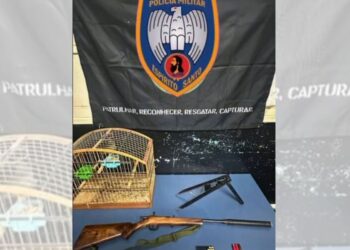 Homem é detido por posse ilegal de arma e animais silvestres em Santa Maria de Jetibá - Foto: Polícia Ambiental