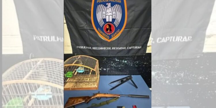 Homem é detido por posse ilegal de arma e animais silvestres em Santa Maria de Jetibá - Foto: Polícia Ambiental