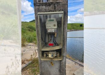 Operação da EDP e PC flagra furto de energia em propriedade no norte do ES - Crédito da imagem: Divulgação/ EDP