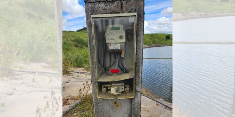 Operação da EDP e PC flagra furto de energia em propriedade no norte do ES - Crédito da imagem: Divulgação/ EDP