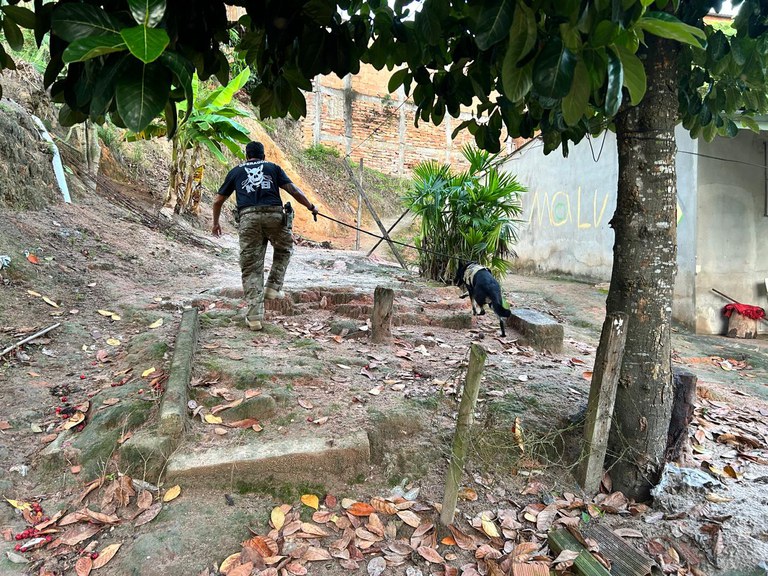 PF realiza Operação Colapso para combate à organização criminosa no norte do ES - Foto: PF/Divulgação