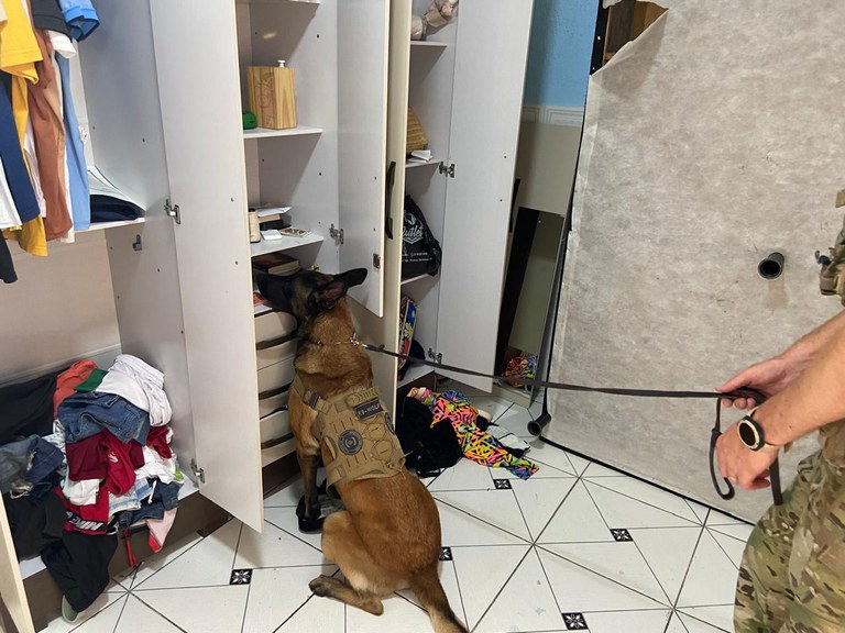 PF realiza Operação Colapso para combate à organização criminosa no norte do ES - Foto: PF/Divulgação