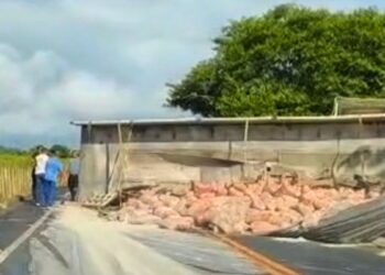 Carreta tomba na ES-248, próximo à Lagoa do Batista, e causa lentidão - Foto: Rede Social