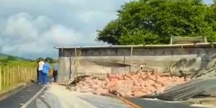Carreta tomba na ES-248, próximo à Lagoa do Batista, e causa lentidão - Foto: Rede Social