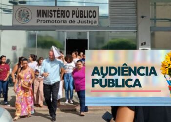 Colatina: MPES realiza Audiência Pública sobre Educação Inclusiva - Foto: Reprodução