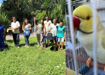 Iema entrega mais 24 animais para Guardiões de Fauna - Foto: Iema
