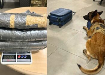 Homem preso com 5kg de cocaína no Aeroporto de Vitória pela PF - Foto: Polícia Federal