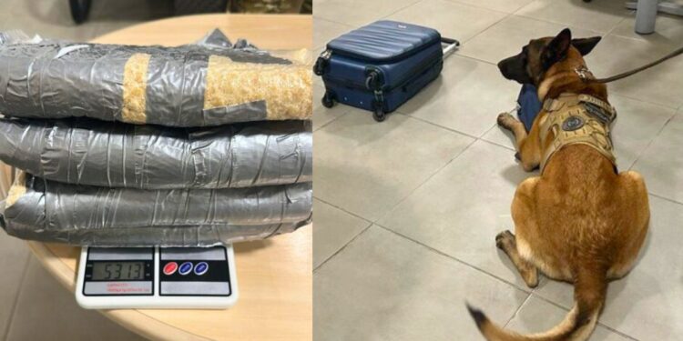 Homem preso com 5kg de cocaína no Aeroporto de Vitória pela PF - Foto: Polícia Federal