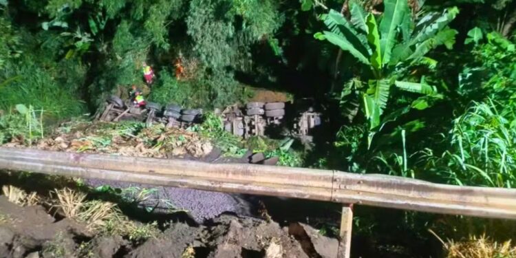 Acidente grave na BR-101 em Fundão resulta em morte de motorista - Foto: Rede Social