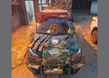 fiscalização ambiental, Unidades de Conservação, caça de animais silvestres, biodiversidade, apreensão de materiais, espécies ameaçadas de extinção - Foto: Iema