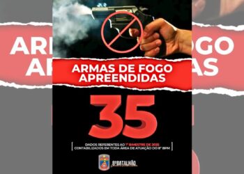 PM apreende 35 armas em Colatina: combate ao crime organizado intensificado - Foto: Reprodução