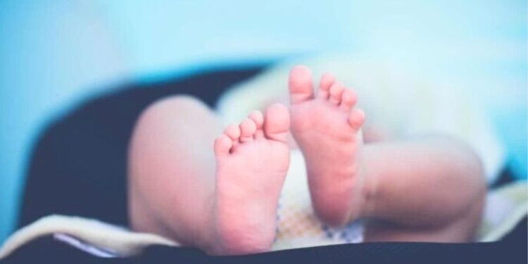 Morte de bebê em São Gabriel da Palha: investigação apura causas e levanta debate sobre vulnerabilidade social - Foto: Reprodução