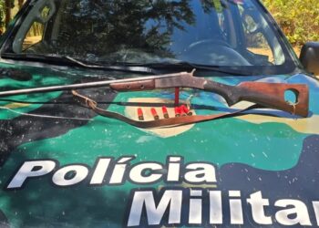 Caça de jacus: homem detido com arma e munições no Sul do ES - Foto: policiaambiental.es