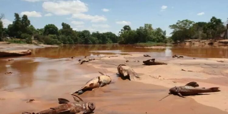 Samarco avança com o pagamento aos municípios que aderiram ao Acordo de Reparação - Foto: Reprodução