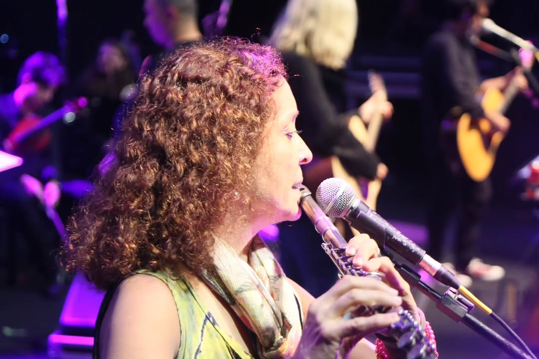 Santa Jazz, Festival Internacional de Jazz e Bossa de Santa Teresa, tem nova edição confirmada para junho - Foto: Divulgação