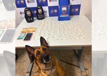 Gerente de boate presa por tráfico de drogas em Colatina - Foto: PMES