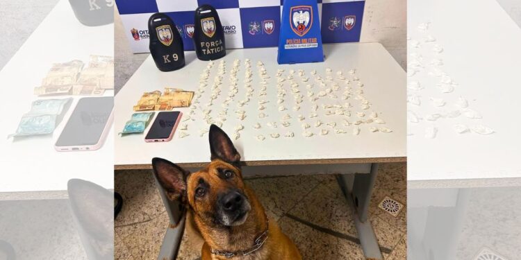 Gerente de boate presa por tráfico de drogas em Colatina - Foto: PMES