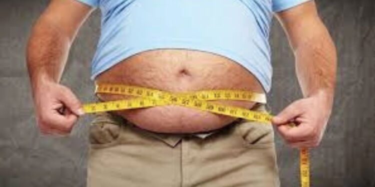 Obesidade no Brasil: números alarmantes e estratégias para uma vida saudável - Foto: Reprodução