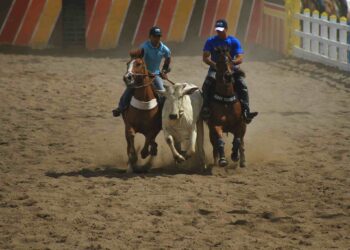 Vaquejada: entenda a polêmica e a decisão do STF sobre a prática - Foto: Reprodução