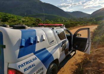 Governador Lindenberg: homem morre atropelado por picape após pular de carroceria - Foto: Reprodução