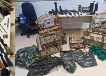 16 Armas Apreendidas em Santa Leopoldina: Denúncias Anônimas Resultam em Operação Policial - Foto: PMES