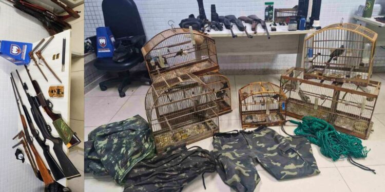 16 Armas Apreendidas em Santa Leopoldina: Denúncias Anônimas Resultam em Operação Policial - Foto: PMES