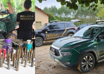 PF deflagra operação contra caça ilegal no norte do ES - Fotos: Policia Federal