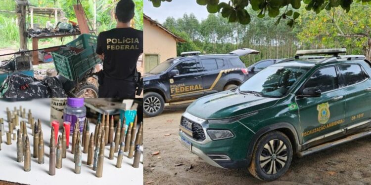 PF deflagra operação contra caça ilegal no norte do ES - Fotos: Policia Federal