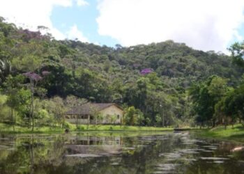Reserva Augusto Ruschi: mergulhe na riqueza da Mata Atlântica Capixaba - Foto: Divulgação