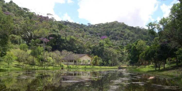 Reserva Augusto Ruschi: mergulhe na riqueza da Mata Atlântica Capixaba - Foto: Divulgação