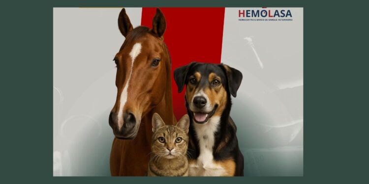 Primeiro banco de sangue veterinário de Colatina e região é inaugurado com palestra gratuita de grandes nomes da medicina veterinária - Foto: Divulgação