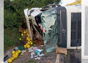 Carreta tomba na ES-446 em Colatina e motorista é socorrida com vida - Foto: Rede Social