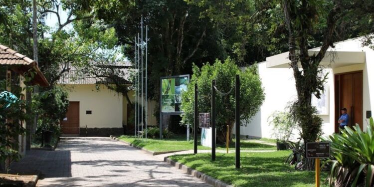 Um museu fascinante com entrada gratuita, ideal para famílias e escolas descobrirem os segredos da natureza capixaba. Foto: Governo do Estado.