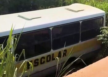 Montanha: ônibus escolar perde controle e cai em córrego - Foto: Reprodução