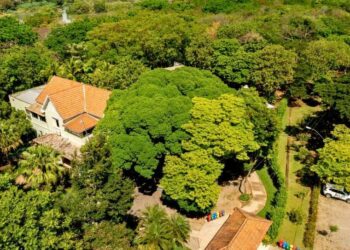 Parque Botânico Aliança Energia celebra 16 anos de educação ambiental em Aimorés - Foto: Divulgação