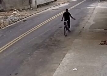 Maus-tratos: homem indiciado por matar cachorro com veneno em Colatina - Foto: Rede Social