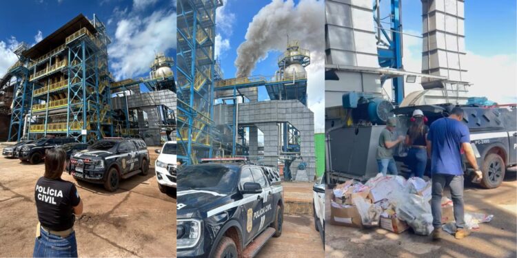 PC incinera quase 600 kg de drogas apreendidas em Linhares: maior ação da história - Fotos: PCES