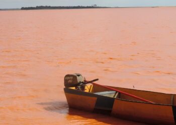 Defensoria Pública de MG presta atendimento gratuito para pedidos de indenização pelo PID - Foto: Reprodução