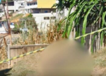 Mulher é encontrada morta próximo a mirante no Centro de Barra de São Francisco - Foto: Reprodução