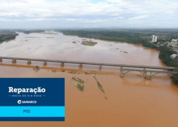 Mais de cinco mil pessoas já receberam R$ 35 mil do PID - Foto: Reprodução